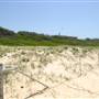 South Maroubra Beach
