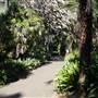 Royal Botanic Garden Sydney