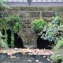 Royal Botanic Garden Sydney