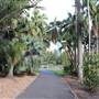 Royal Botanic Garden Sydney