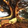 Coopers Shoot Byron Bay Hinterland Private Property