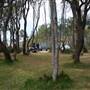 Wattamolla Beach