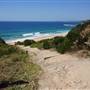Turimetta Beach