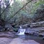 Minnamurra Rainforest Walk - Budderoo National Park