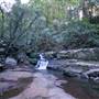 Minnamurra Rainforest Walk - Budderoo National Park