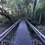 Minnamurra Rainforest Walk - Budderoo National Park