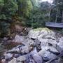 Minnamurra Rainforest Walk - Budderoo National Park