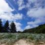 Lord Howe Island