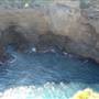 Munmorah State Conservation Area - Snapper Pt and Bongon Beach