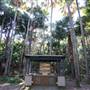 Munmorah State Conservation Area - Palms Picnic Area