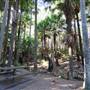 Munmorah State Conservation Area - Palms Picnic Area