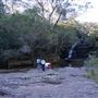 Somersby Falls picnic area - Brisbane Water National Park