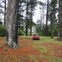 Jenolan State Forest