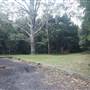 Red Cedar Flat picnic area