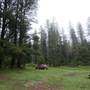 Jenolan State Forest