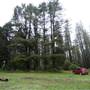 Jenolan State Forest