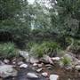 Red Cedar Flat picnic area