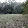 Red Cedar Flat picnic area