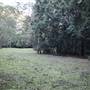 Red Cedar Flat picnic area