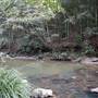 Red Cedar Flat picnic area