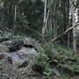 Mount Keira Scout Camp File 1