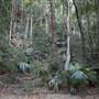 Mount Keira Scout Camp File 1
