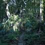 Mount Keira Scout Camp File 1