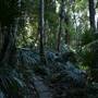Mount Keira Scout Camp File 1