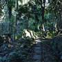 Mount Keira Scout Camp File 1