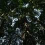 Mount Keira Scout Camp File 1