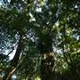 Mount Keira Scout Camp File 1