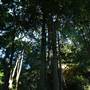 Mount Keira Scout Camp File 1