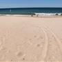 Long Reef Beach