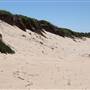 Long Reef Beach
