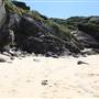 North Curl Curl Beach