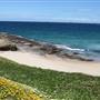Wollongong - Foreshore and Wharf