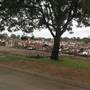 Rookwood Cemetery