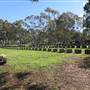 Rookwood Cemetery