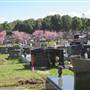 Rookwood Cemetery