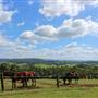Rosebank Farm