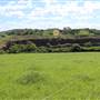 Rosebank Farm