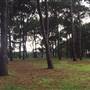Centennial Park - Pine Grove