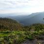 Lincoln's Rock - Blue Mountains