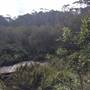 The Gully Walk, Katoomba (formerly Catalina Park)