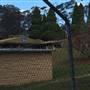 The Gully Walk, Katoomba (formerly Catalina Park)