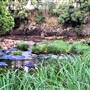 gurragawee Eco Venue