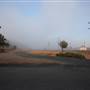 Middle Eastern Looks - Broken Hill