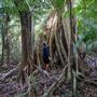Ardeena - Jungle / Rainforest Private Property