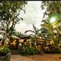 Tree House Byron