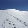 Snowy Mountains - Semi-Dry Steppes